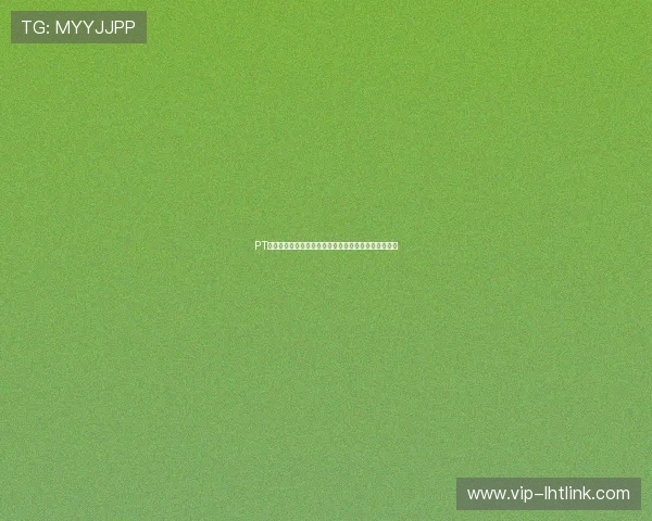 PT电子结构详解及其在网络游戏中的应用与优化策略分析